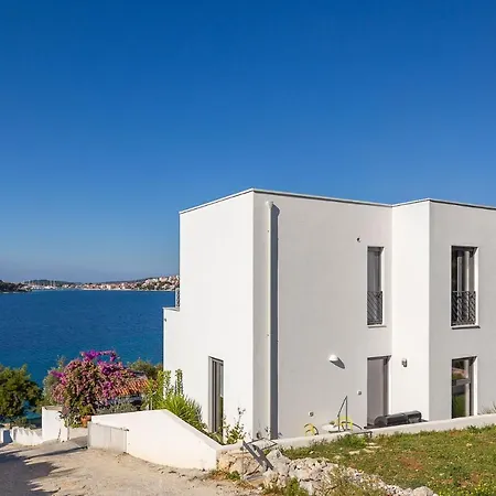 D&d * Рогозница