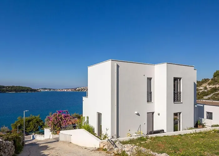 D&d * 로고즈니차