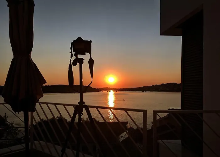 D&d Рогозница